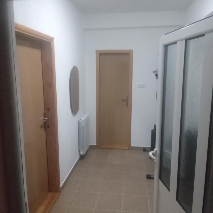 זבליאק Apartments Avramovic מראה חיצוני תמונה